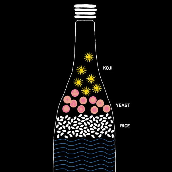 Everyday Sake - Image 6