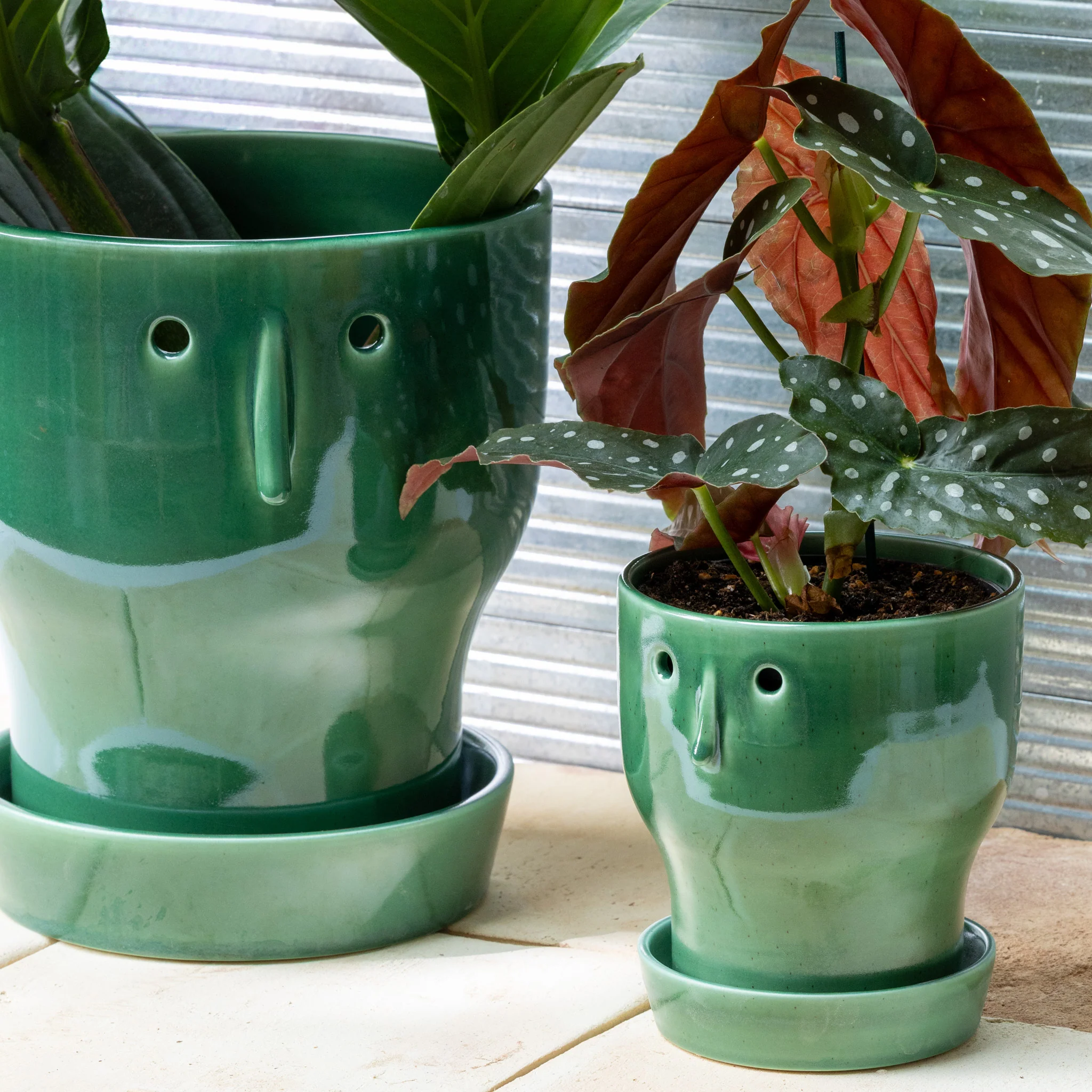 Fnoobie Pot - Image 7