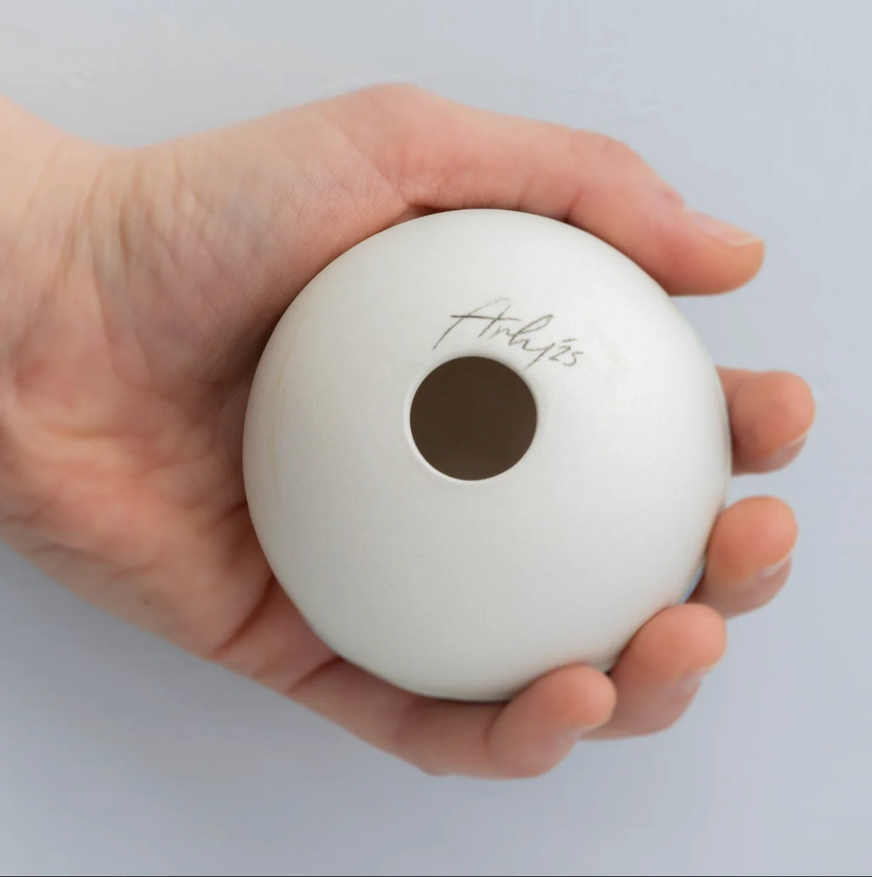 Pearl - Image 4