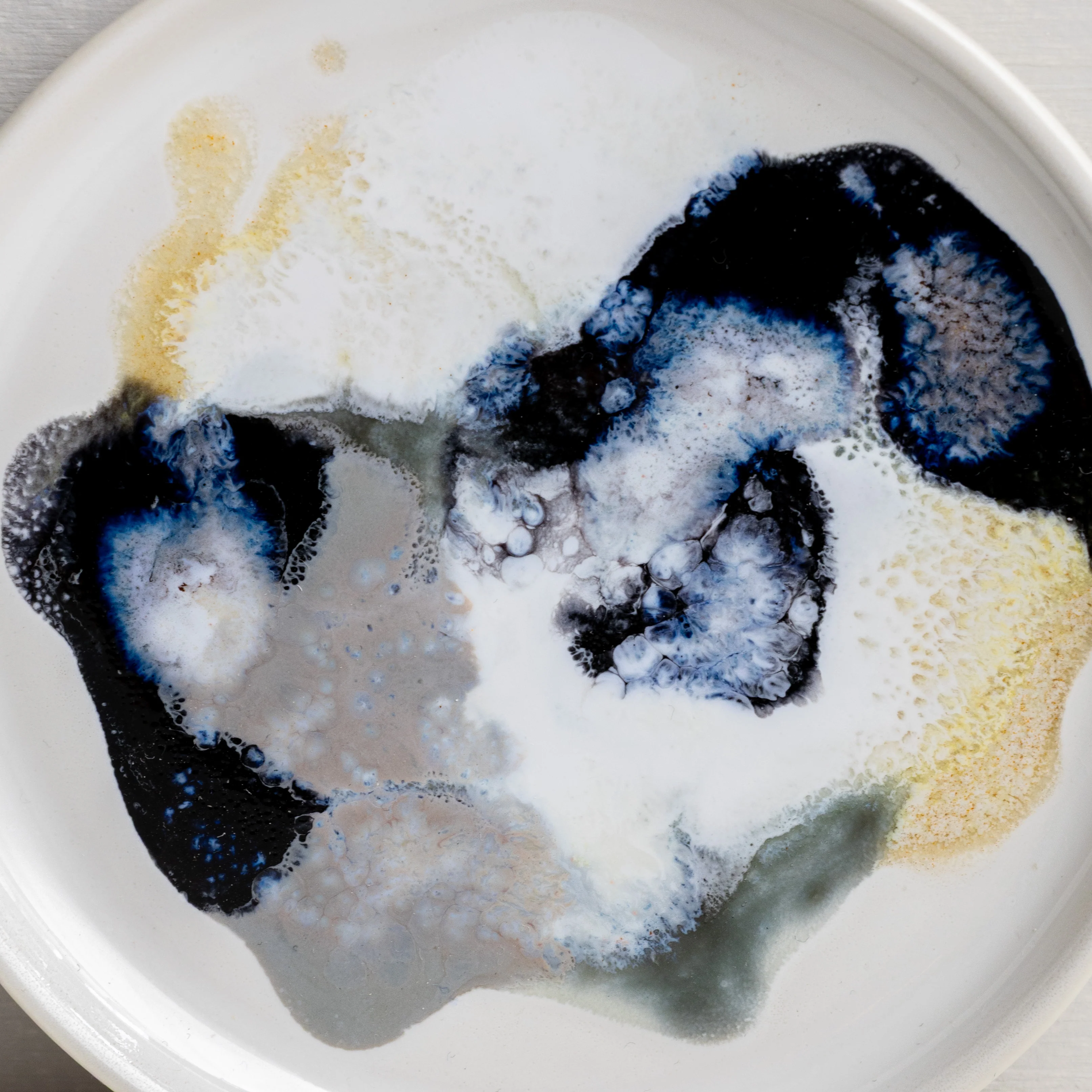 Petri Dish - Image 4