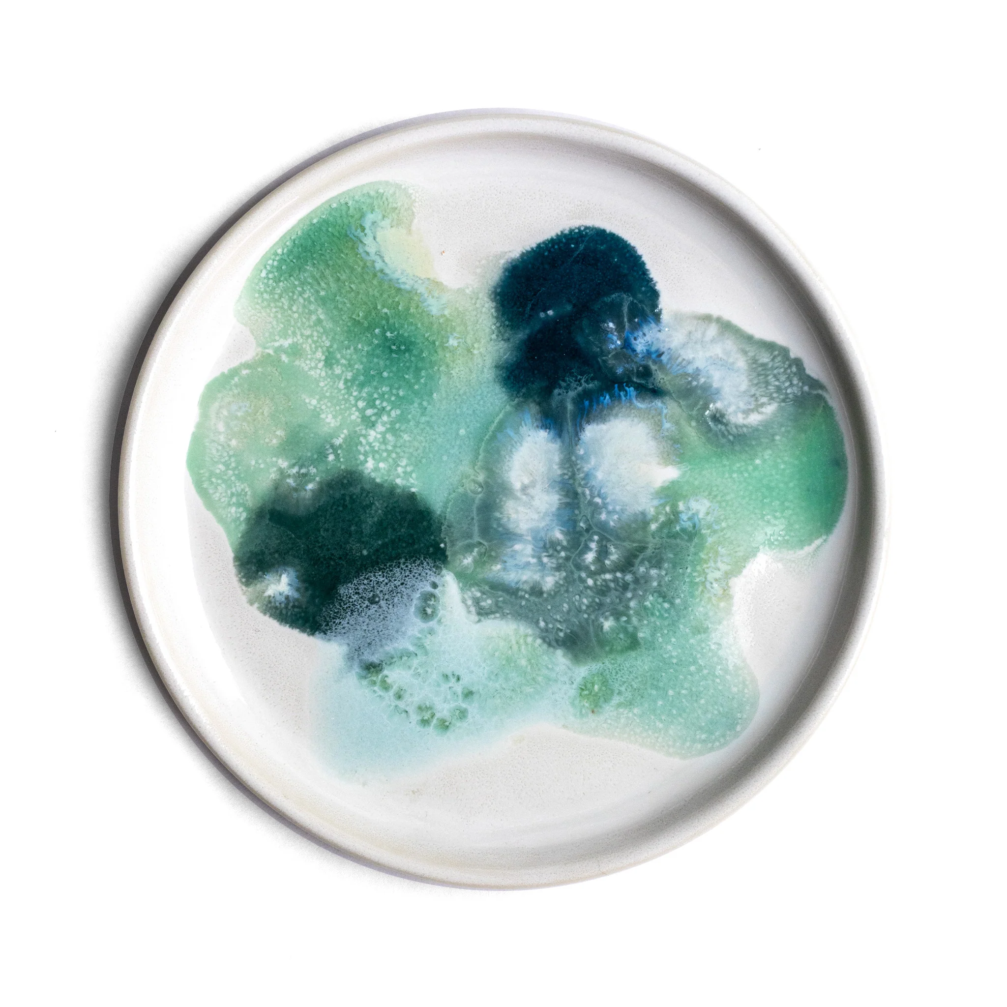 Petri Dish
