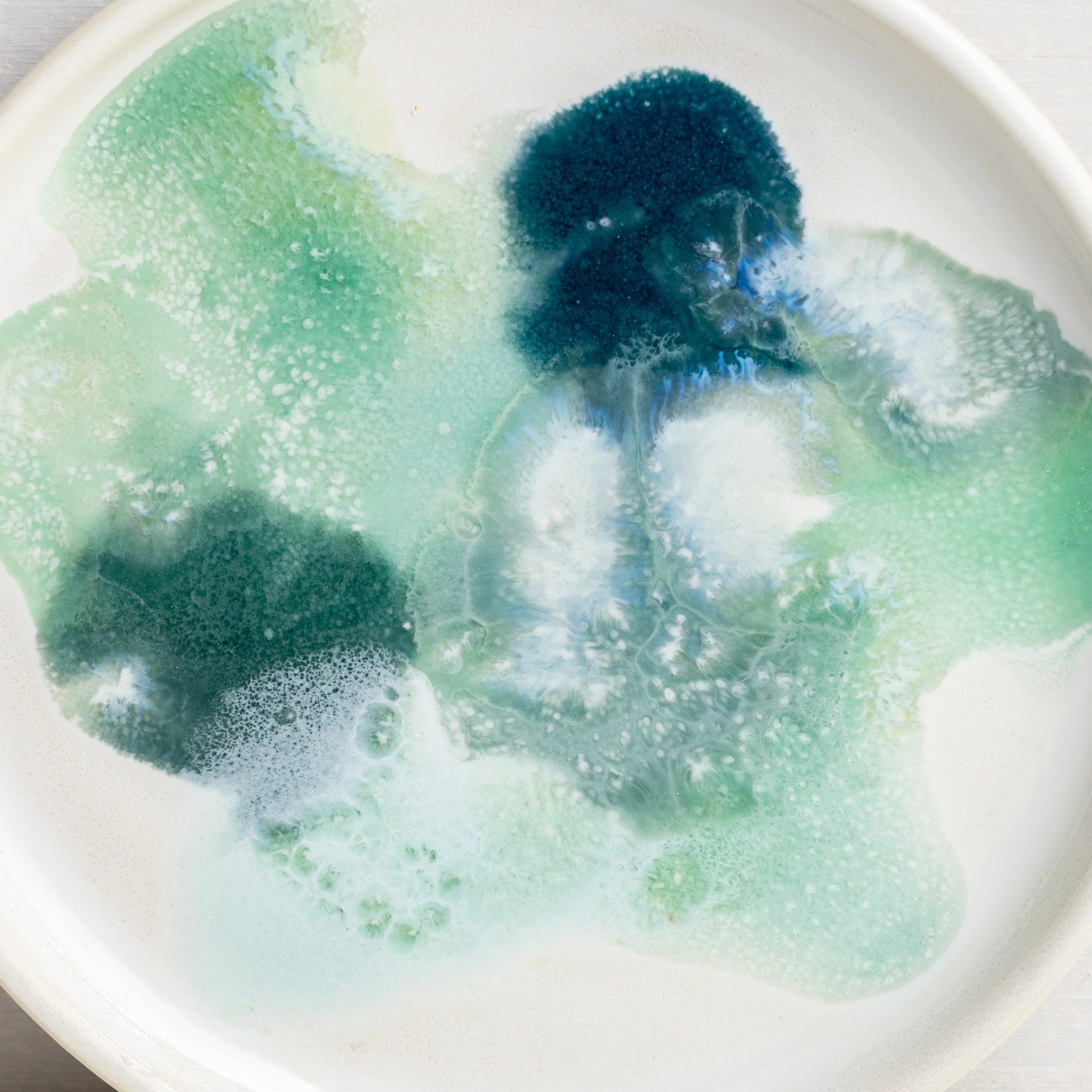 Petri Dish - Image 4
