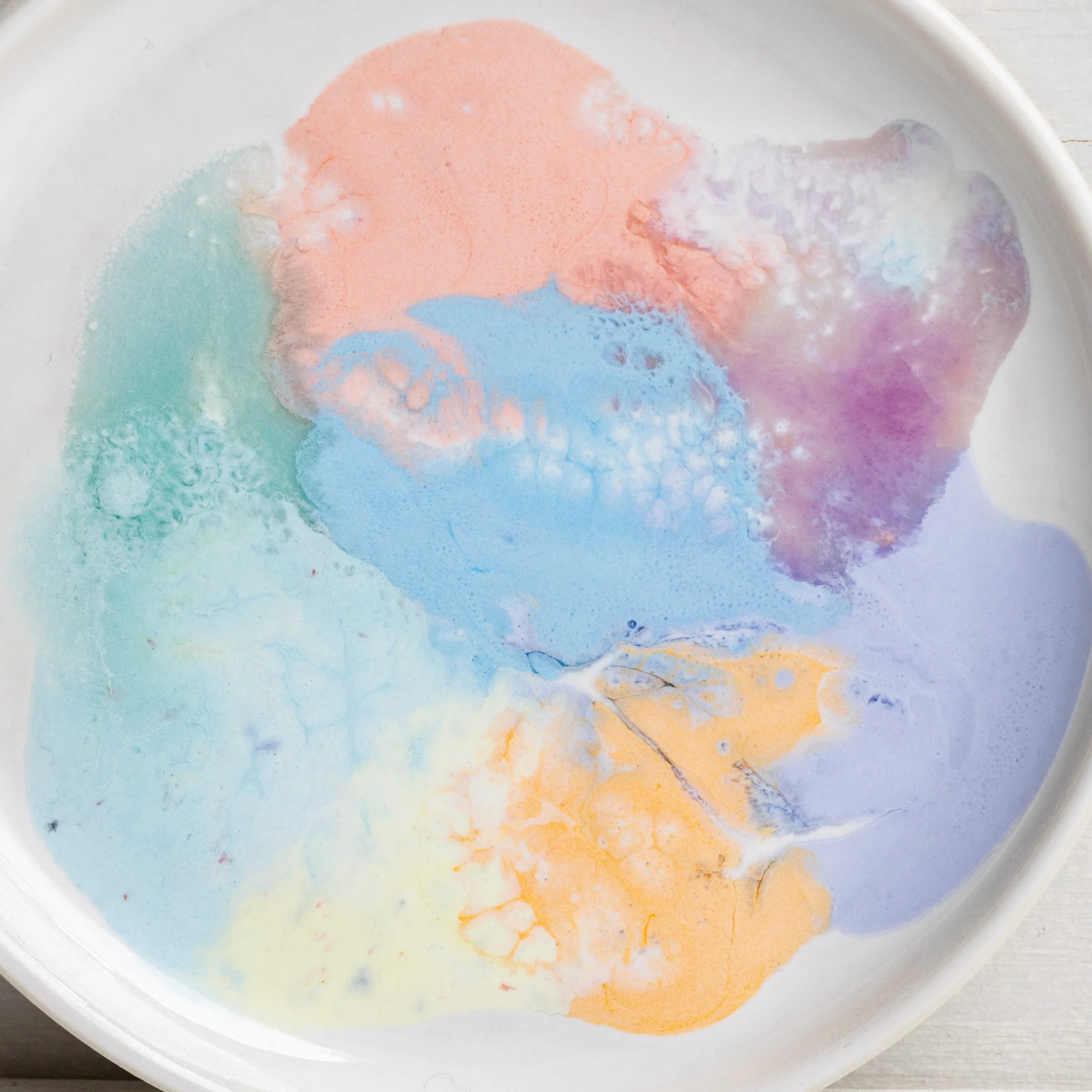 Petri Dish - Image 4