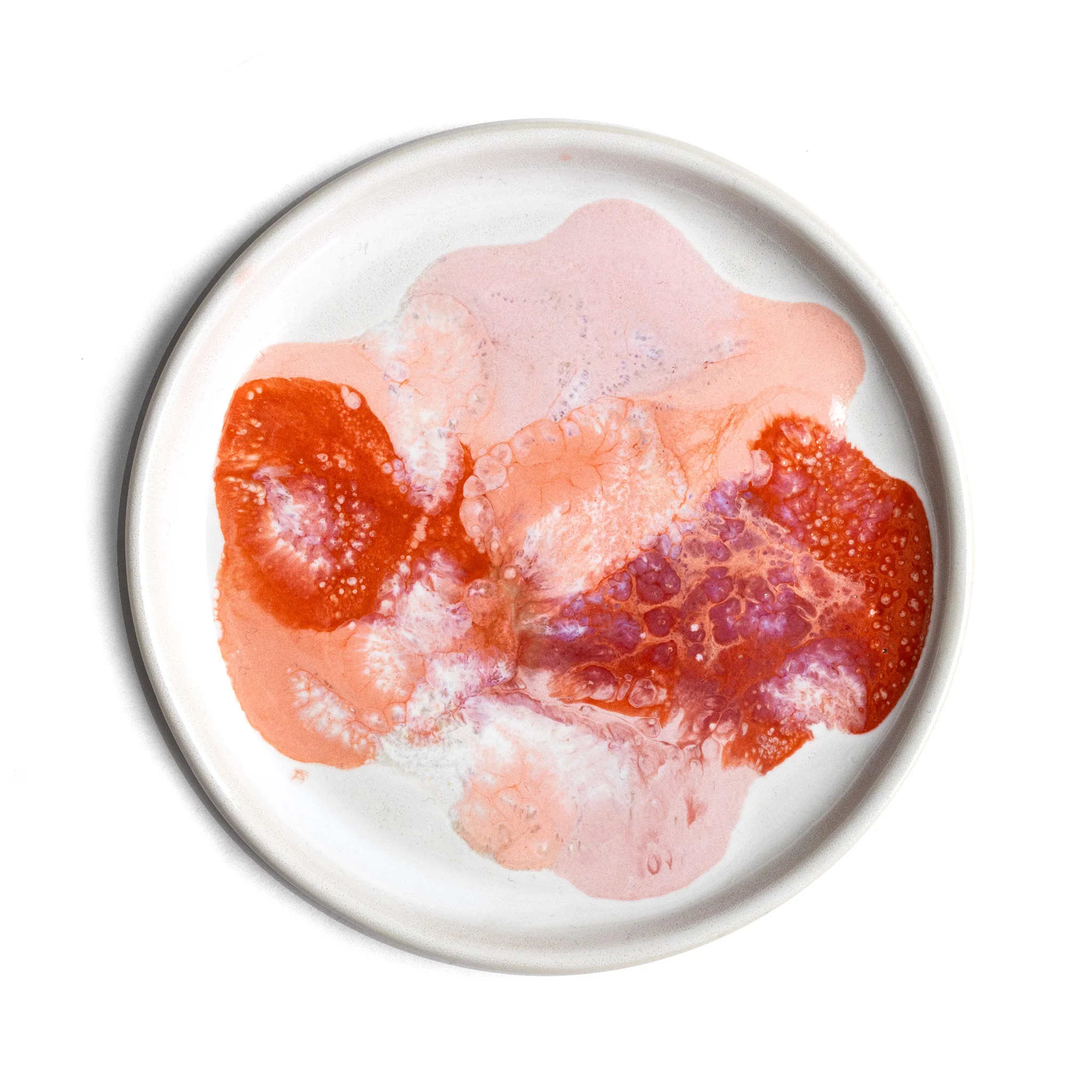 Petri Dish
