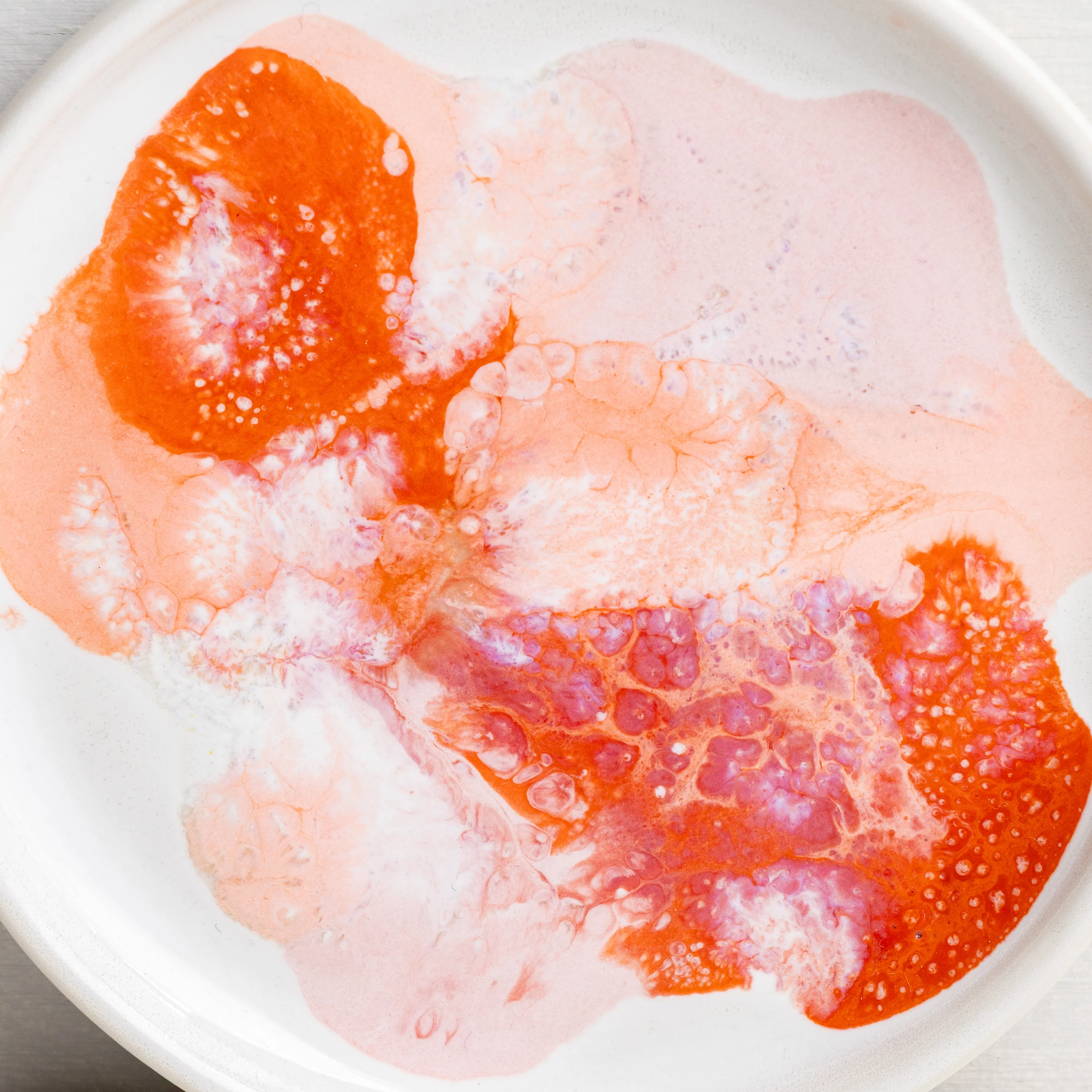 Petri Dish - Image 4