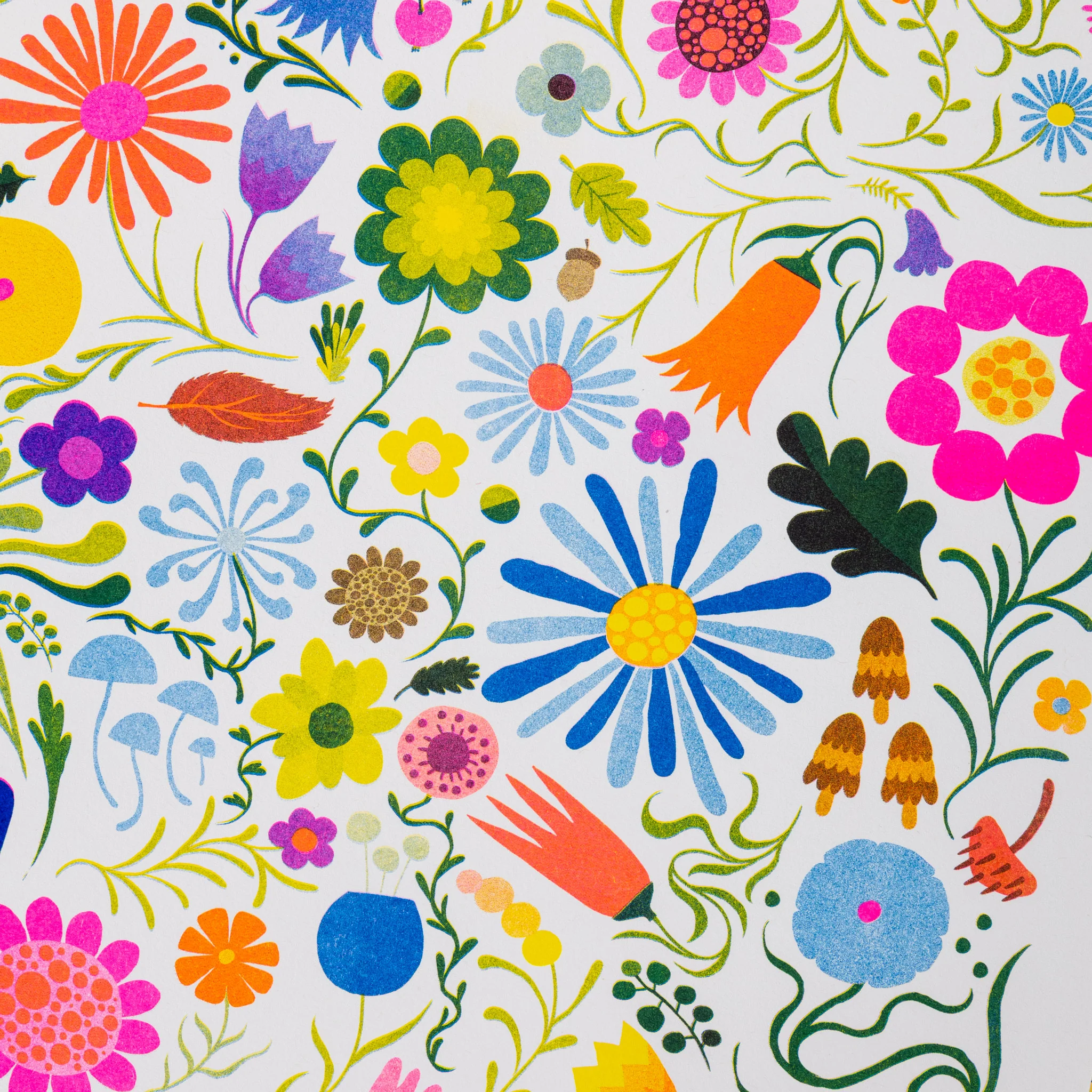 Riso Works - Image 4