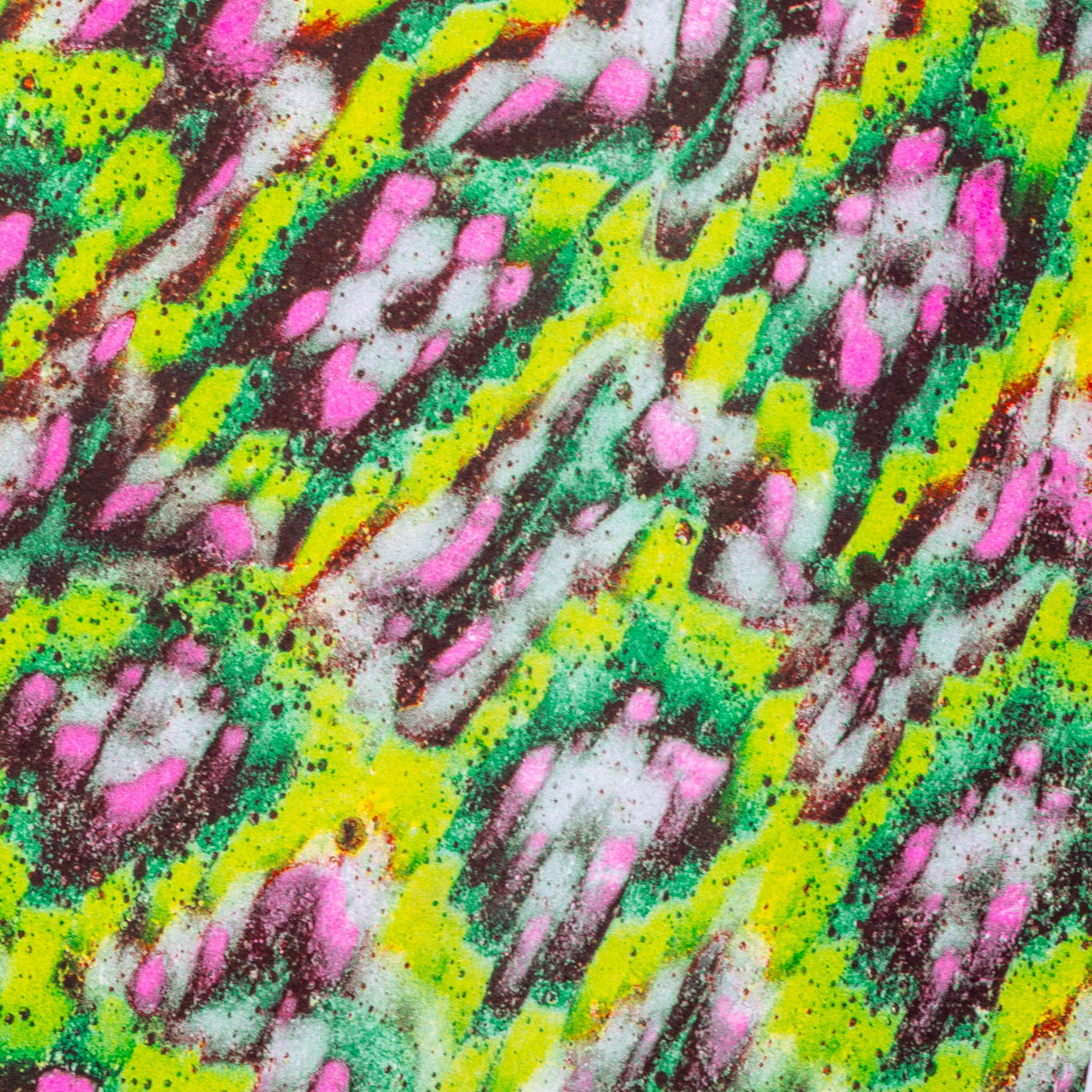 Riso Works - Image 4
