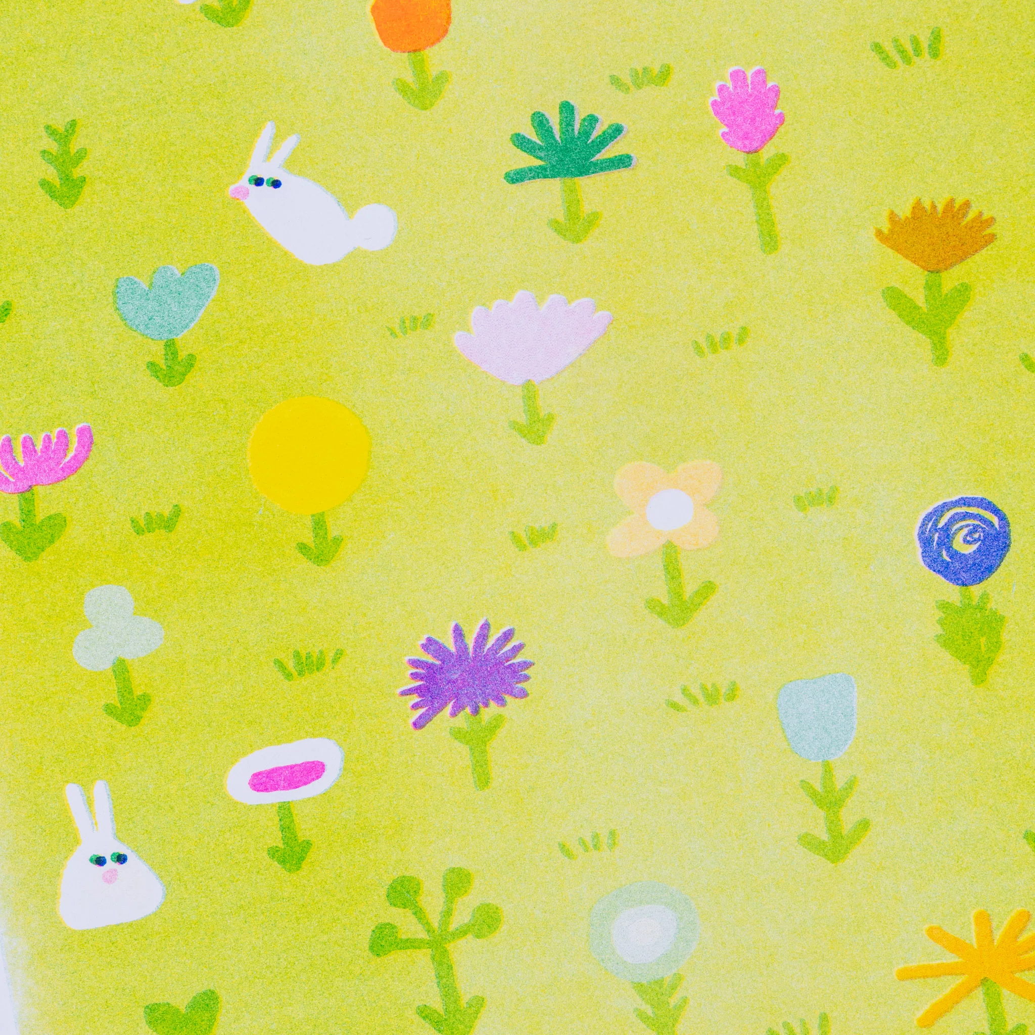 Riso Works - Image 4